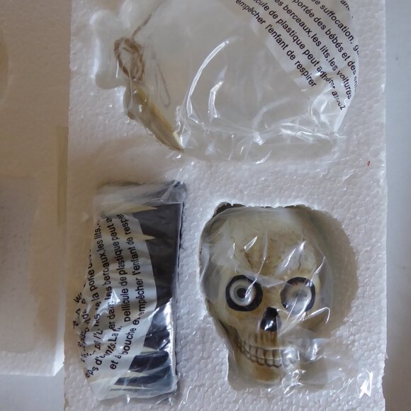 NEW 2005 DEPARTMENT 56 DR. FRANKENSTEIN’S LAB HALLOWEEN DONOR SKULL SALT PEPPER - Picture 2 of 16